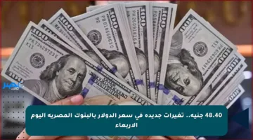 48.40 جنيه.. تغيرات جديدة في سعر الدولار بالبنوك المصرية اليوم الأربعاء
